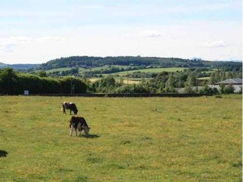 Hillhead Farm Lets Hotell Stirling Eksteriør bilde