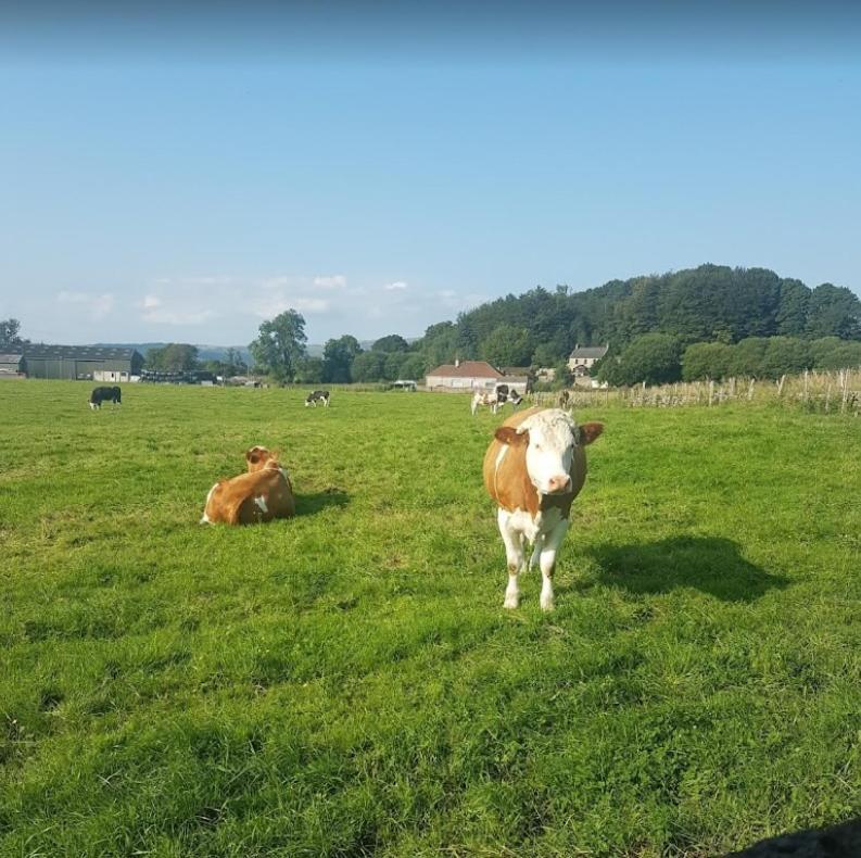 Hillhead Farm Lets Hotell Stirling Eksteriør bilde
